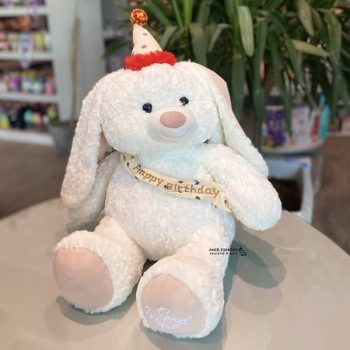 رابیت تولد کیدزلند