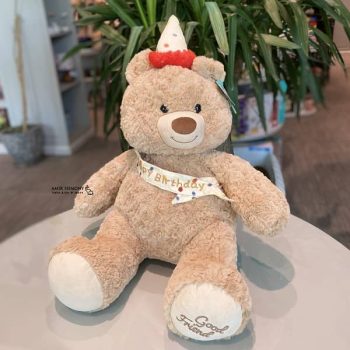 عروسک خرس تولد کیدزلند