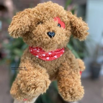 سگ چشم قلبی کیدزلند