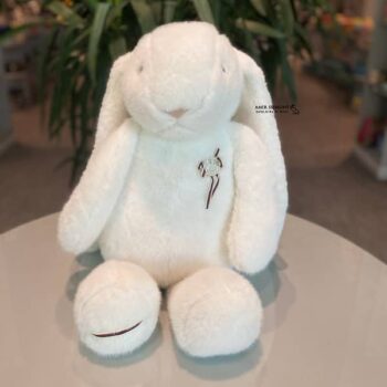 عروسک خرگوش سکه دار بزرگ کیدزلند