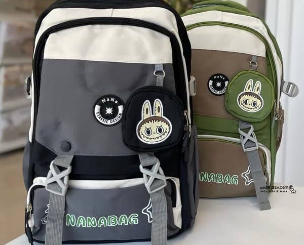 کوله پشتی مدرسه برزنتی طرح لبوبو