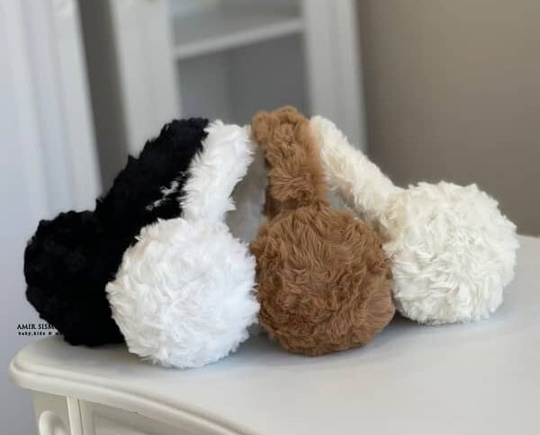 گوشگیر زمستانه تدی