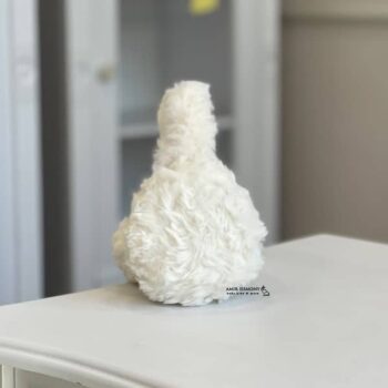 گوشگیر زمستانه تدی