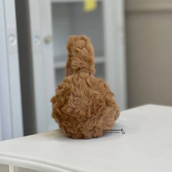 گوشگیر زمستانه تدی