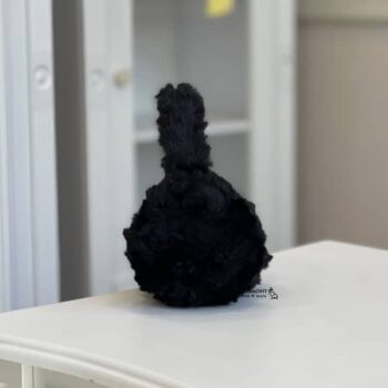 گوشگیر زمستانه تدی