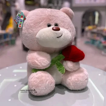 خرس باغبان کیدزلند