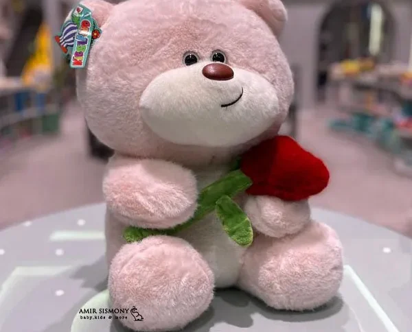 خرس باغبان کیدزلند