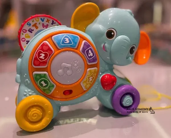 فیل چرخدار وین فان