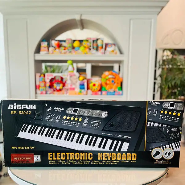 اسباب بازی ارگ BF-830A2