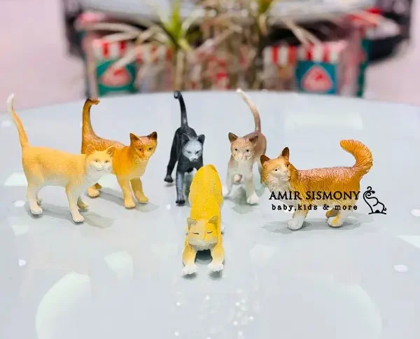 پک گربه