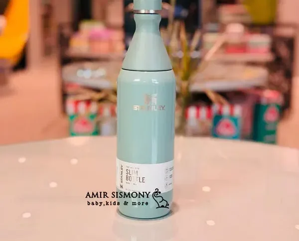 تراول ماگ استنلی all day slim