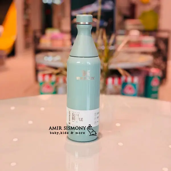 تراول ماگ استنلی all day slim