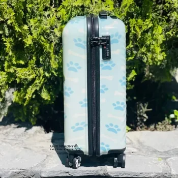 چمدان بچگانه همراهی ایده آل برای فرزند شما در مسافرت است.