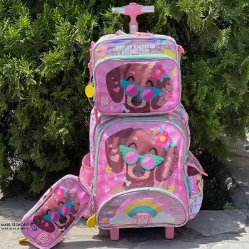 کوله پشتی چرخدار چند تکه فانتزی