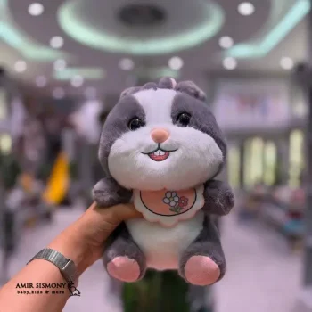 پیشی کیدزلند